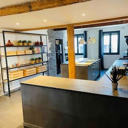 Elegant And Charming Townhouse With Roof Terrace Prázdninový dům Limoux